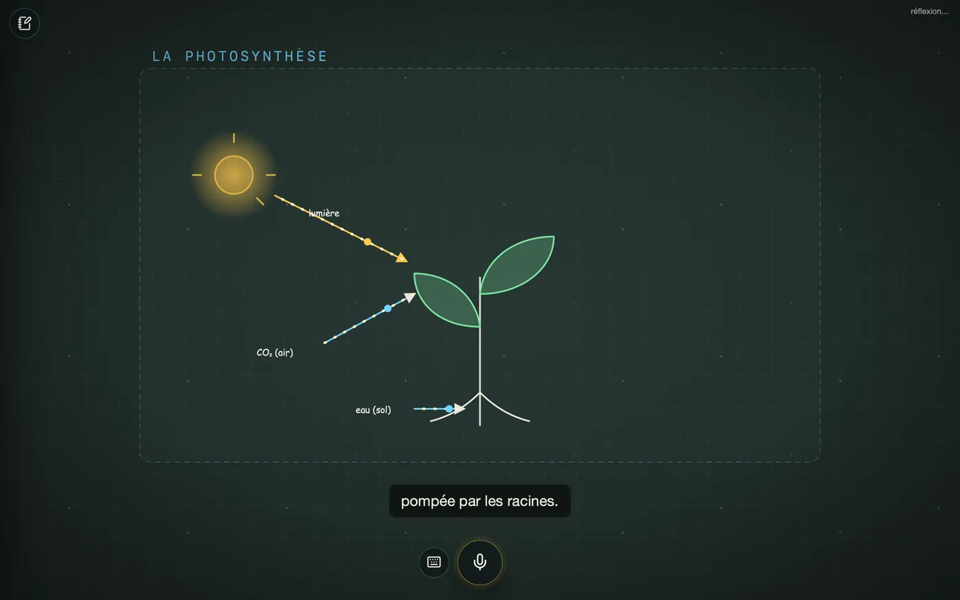 Flèches animées : lumière, gaz carbonique et eau entrent dans la feuille, oxygène et sucre en sortent